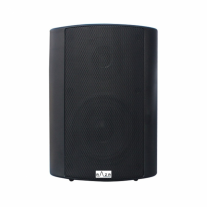 ลำโพง สองทาง ขนาด 30 วัตต์ ยี่ห้อ RAZR รุ่น SW-302B 0